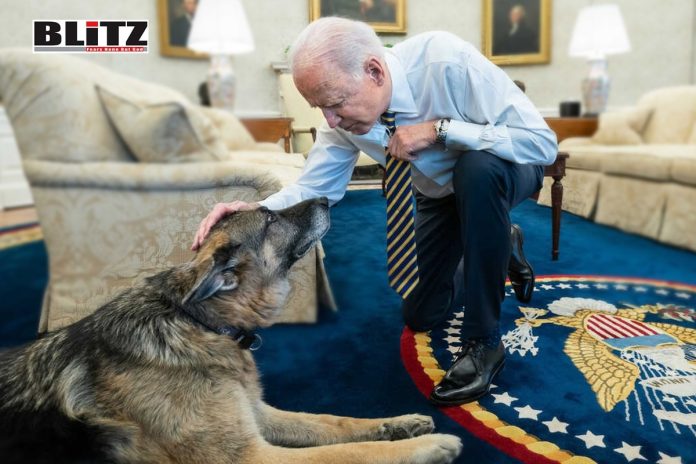 Biden, German Shepherd, Secret Service, White House
