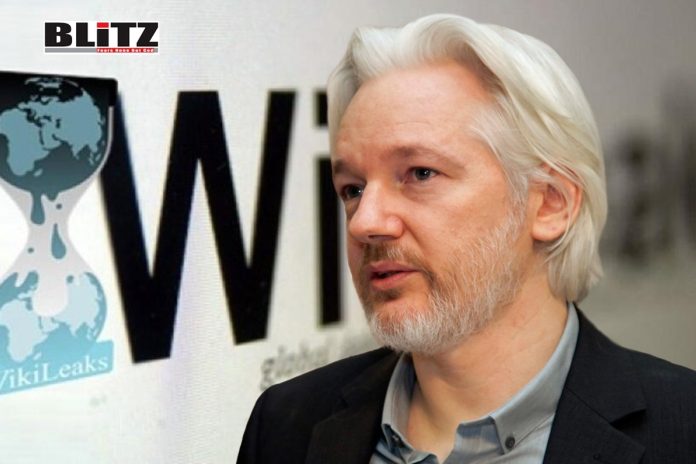 Julian Assange, Assange, British prisons, Journalistic