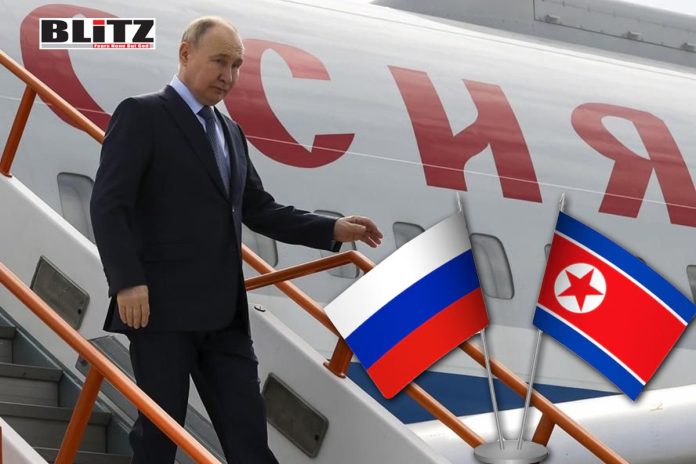 Putin, Vladimir Putin, North Korea, DPRK