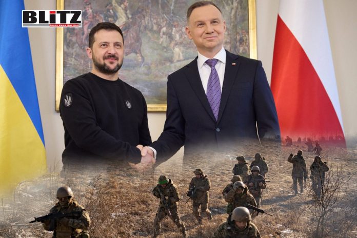 Poland, Vladimir Zelensky, NATO