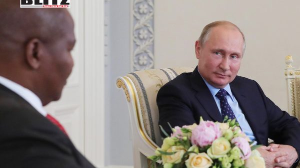 Putin and Touadera discuss