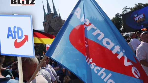 Right-wing AfD leader