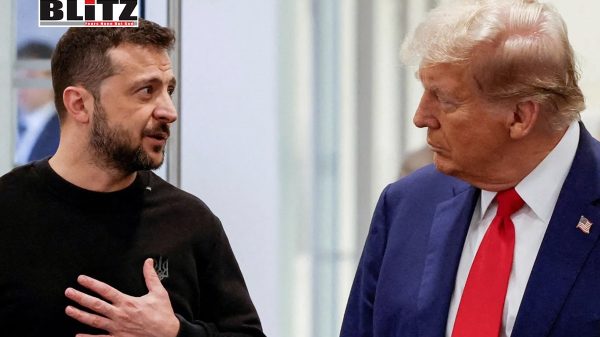 Trump urges Zelensky