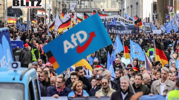 AfD rejects