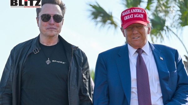 Immigration and innovation divides