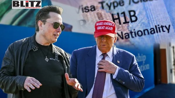 Musk vs MAGA