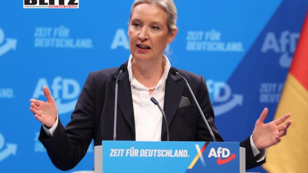 AfD leader vows to close borders