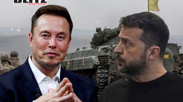 Elon Musk, Ukrainian President Vladimir Zelensky, Ukrainian, elections, Donald Trump,