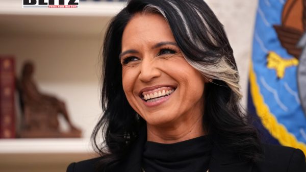 Tulsi Gabbard, US intelligence, Mitch McConnell, President Donald Trump, Syrian President Bashar al-Assad, Central Intelligence Agency , Federal Bureau of Investigation, National Security Agency 