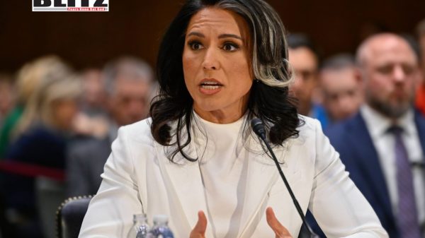 Tulsi Gabbard,  confirmation, Director of National Intelligence (DNI)