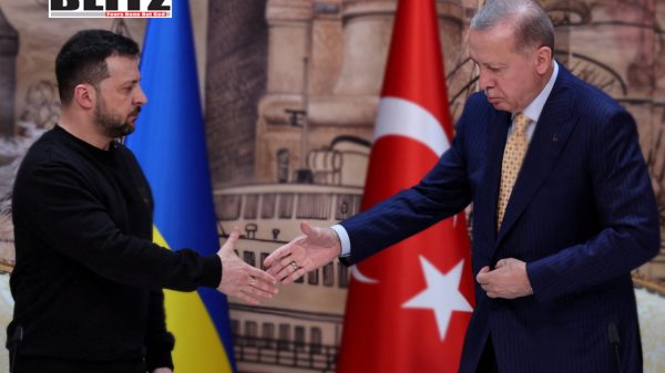 Turkish President Recep Tayyip Erdogan, Ukrainian President Vladimir Zelensky, Ankara, Kiev, Moscow, Russian President Vladimir Putin