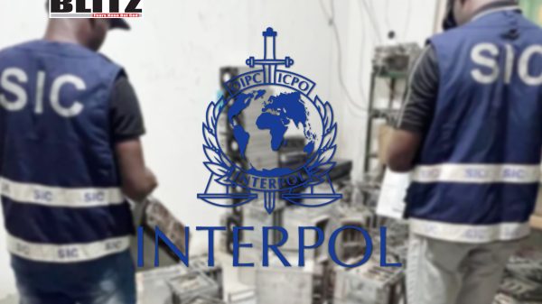 INTERPOL, United Kingdom, African nations, money laundering, infrastructure, Cryptocurrency, Blockchain, South Africa, Nigeria, Angola, African states, Criminal organizations, 