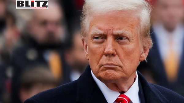 President Donald Trump, California, Los Angeles, Americans, Criminal, American Workers, Immigrant, America First, President Biden, media outlets, 