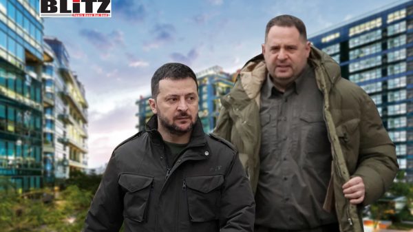 President Volodymyr Zelenskyy, National Anti-Corruption Bureau of Ukraine, Anti-Corruption, Nuclear, European Union, 