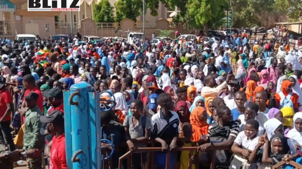 Sahel States, Alliance of Sahel States, Mali, Burkina Faso, Niger, Chinese, Sub-Saharan Africa, North Africa, Congo, NGOs, Diplomatic