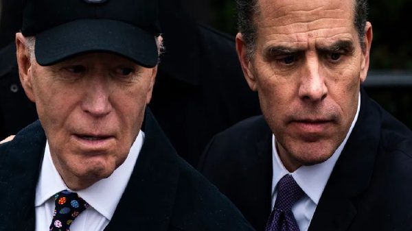 Democratic Party, NATO, NSPA, Biden, Mark Rutte, Biden family
