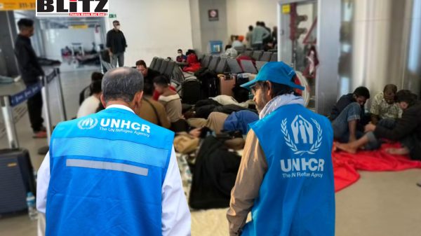 Brazil, asylum, Venezuelan, Cuban, Haitian, Angolan, Caribbean, Latin America, Africa, Refugee, Cold War, European, Refugees, Black Africans, World War II, Eastern Europe, Argentina, Uruguay, Migrants, Constitution, São Paulo, 