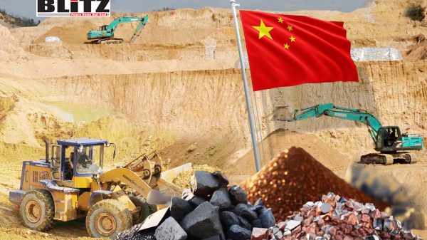 Ministry of Commerce, Beijing, European Union, Chinese, global market, World Trade Organization, 