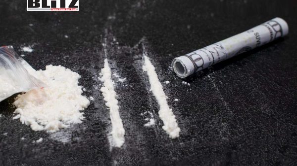 France, Drugs, Trafficking, cocaine, Law enforcement, Latin America, Narcotics, European Monitoring Centre for Drugs and Drug Addiction, Belgium, Netherlands, Cryptocurrencies, 