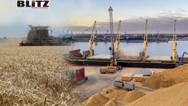 Organized Crime and Corruption Reporting Project, Danish, Black Sea, Sea of Azov, President Vladimir Putin, Russian Federation, Denmark, 