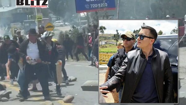 Daniel Noboa, Ecuador, assassination, attack, NGOs, human rights, Amnesty International, 
