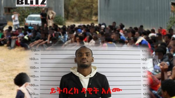 human smuggling network