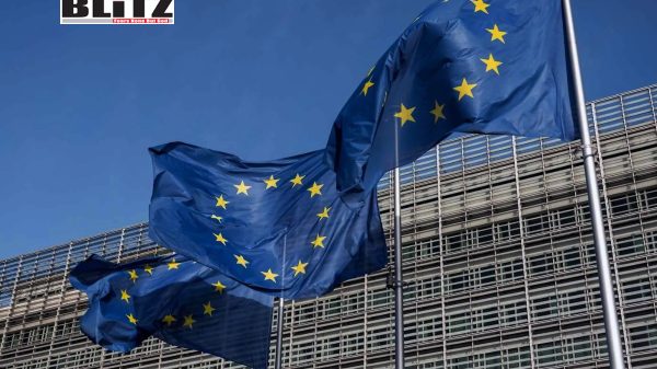 American, Silicon Valley, European, BRICS, Big Tech, Digital Services Act, Donald Trump, US government, NATO