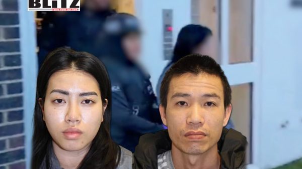 Hop Nguyen and Hoang Nguyen,