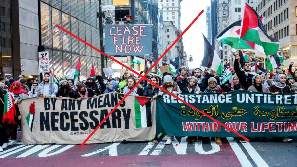 Pro-Palestine rally in the United States