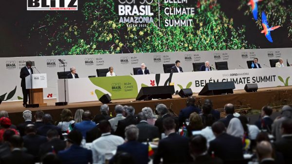 Brazilian, Africa, Asia, Latin America, Paris Agreement, Climate Change, nuclear, 