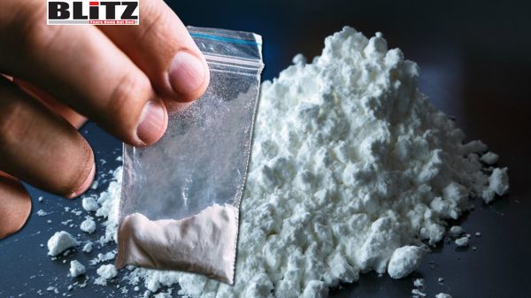 United Nations, United Nations Office on Drugs and Crime, cocaine, UNODC, Colombia, Central Europe, North America, South America, Law enforcement, Organized crime