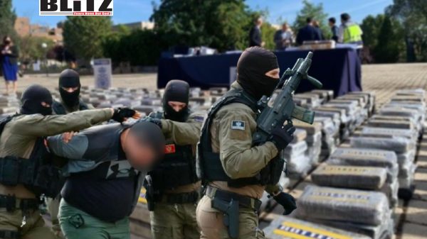 Balkan cartel network