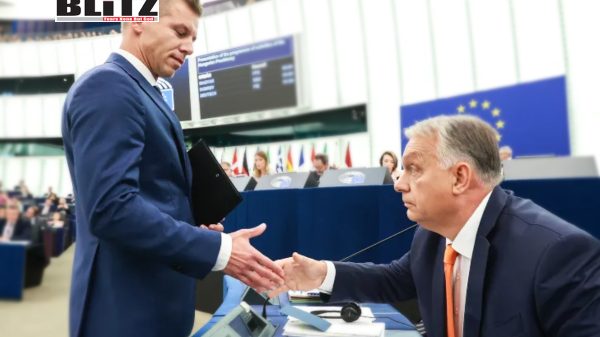 Hungarian electoral process