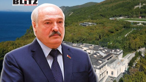 Caucasus, Winter Olympics, Black Sea, Russian President Vladimir Putin, Belarusian Investigative Center, Belarusian President Alexander Lukashenko, Transparency International, law enforcement, Belarus, Wagner, Ukraine war, 