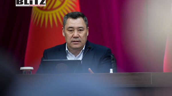 Kyrgyzstan Ex-security chief Kamchybek Tashiev