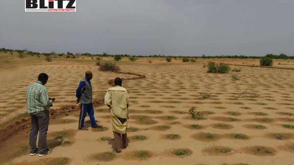 Burkina Faso, People’s Movement for Progress, West African, Réseau National de Lutte, Assistance Technique et Travaux Publics