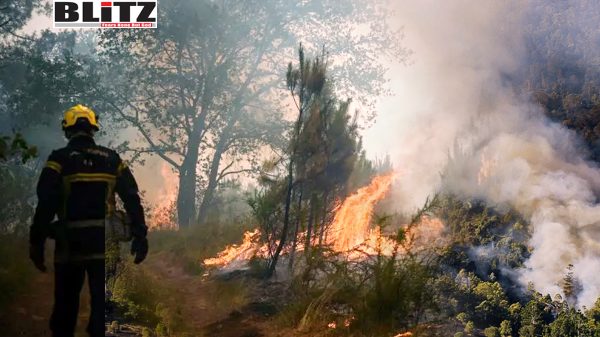 Mediterranean, Turkiye, France, climate crisis, Greece, Healthcare, Italy, Spain, global climate change, California, Australia, Amazon