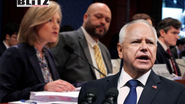 Minnesota fraud allegations