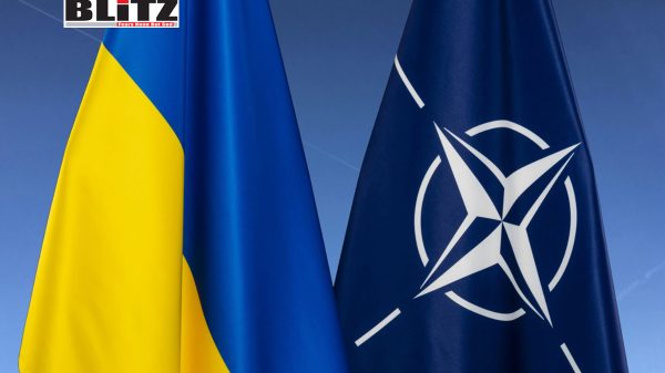 NATO, Taliban, special military operation, Russian military, Kiev regime, UAV, Poland, Czechia, Ukrainian soldiers, Ukrainians, Cold War, Battlefield, Afghanistan