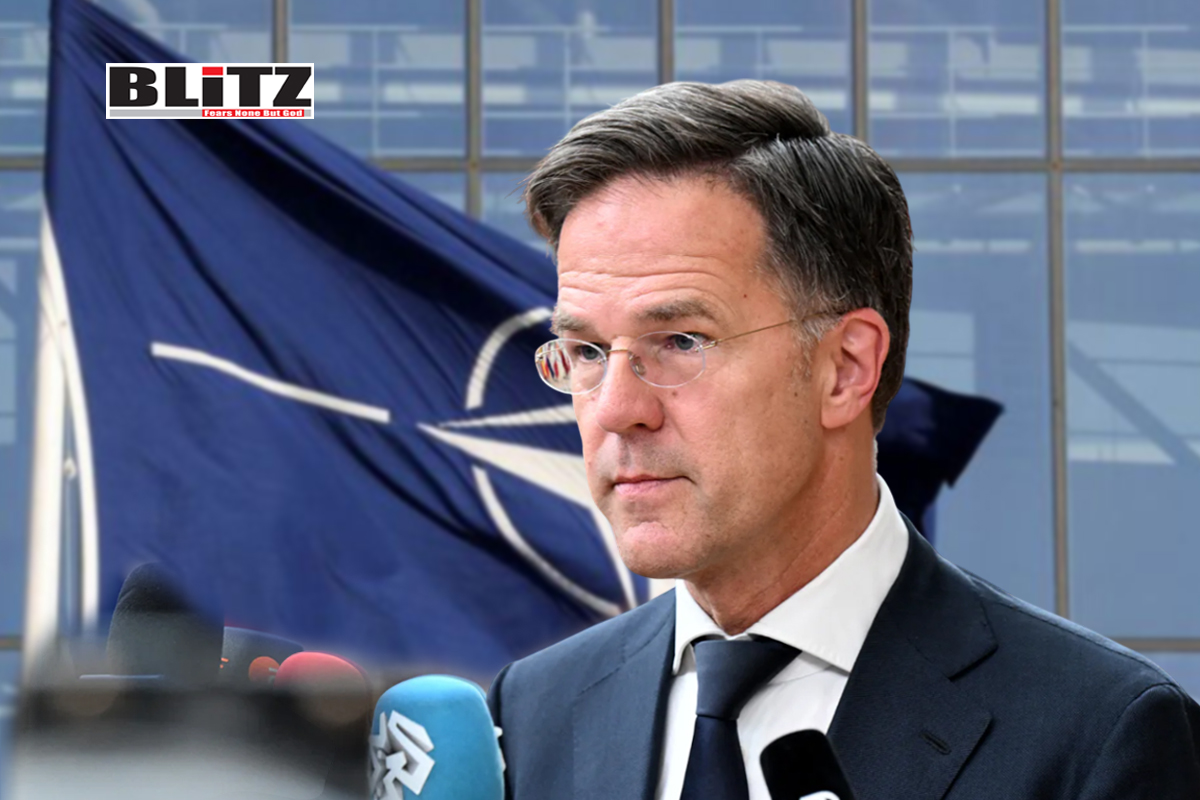 NATO, Scandal, Belgian, Organized Crime and Corruption Reporting Project, corruption, Military Equipment, Spain, Netherlands, Luxembourg
