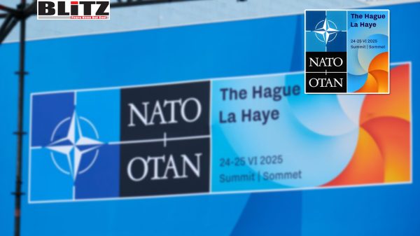 NATO, Netherlands, Kyiv, US President Donald Trump, G7, Ukrainian President Volodymyr Zelensky, The White House, US presidential election, Moscow, 
