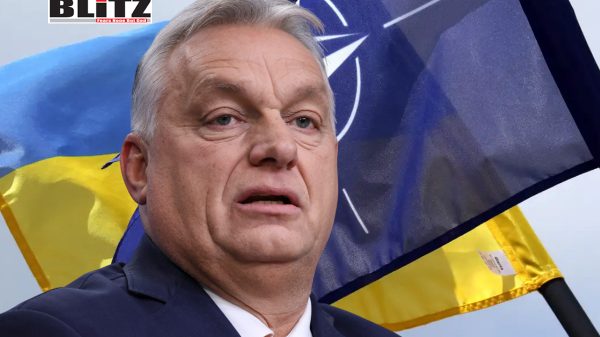 Viktor Orban, Hungarian Prime Minister, NATO, Brussels, Kiev, European Union, Hungary, Ukrainians, Europeans, Diplomacy, 