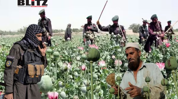 Pakistan’s poppy explosion: A new threat to South and West Asian security