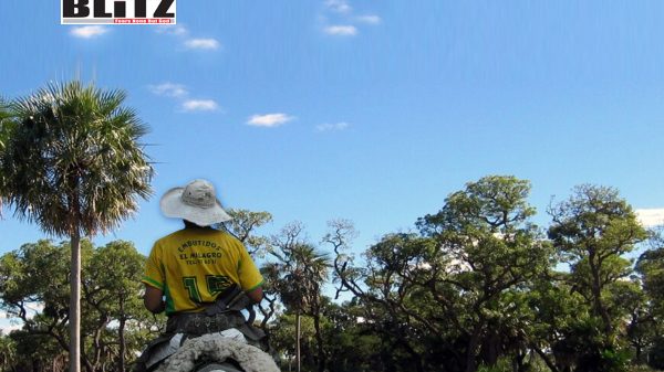 Paraguay, OCCRP, Organized Crime, South America, Brazilian, Crimes, 