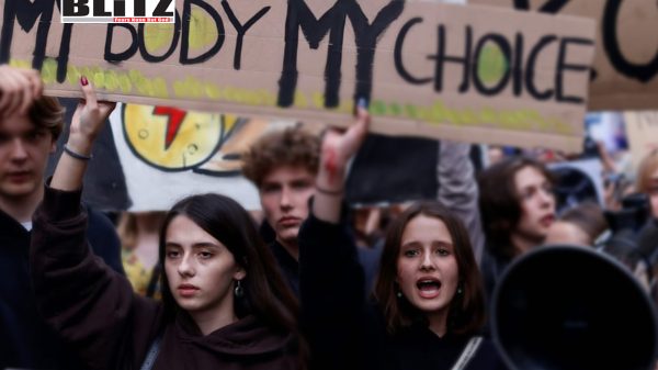 European Court of Human Rights, Poland. Polish, Netherlands, Strasbourg, Law and Justice, 