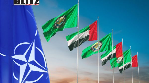 Rebuilding NATO through Gulf partnership
