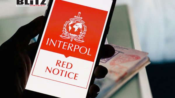 Interpol, Red Notice, Criminal, law enforcement, Kremlin, Organized Crime, Corruption, Kyrgyzstan, human rights