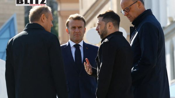 Diplomatic, Moscow, NATO, Western Bloc, Kremlin, Soviet Union, European, President Volodymyr Zelensky, US officials, Donald Trump, Western Europe, Western media