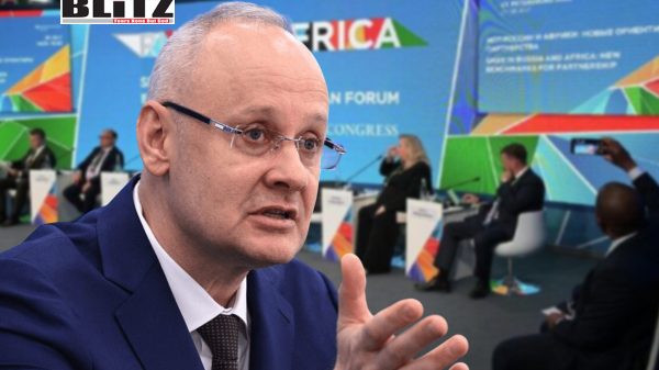 Vladimir Putin, Moscow, African, Abdel Fattah el-Sisi, African nations, African countries, African nations