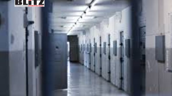 Immigration, President Donald Trump, Harvard Law School, Immigration and Customs Enforcement, Human Rights, America, United Nations, International Consortium of Investigative Journalists, Department of Homeland Security, COVID-19 pandemic, 